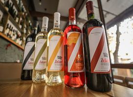 Vayk Winery and Vineyards