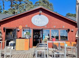 Pub Albin