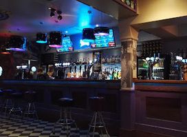 The Purple Turtle