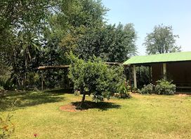 The Thyolo House