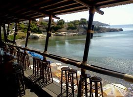 Barracuda Beach Bar
