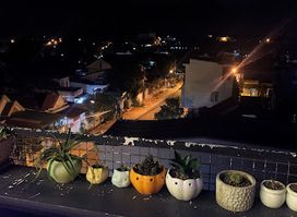 Neko Rooftop Coffee & Beer