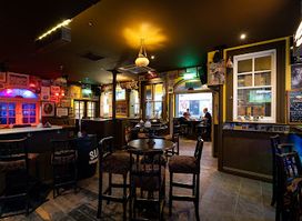 The Wild Duck Dublin