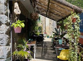 Bar Lola
