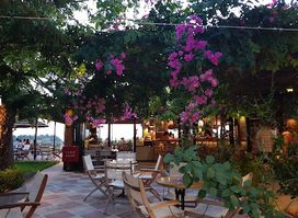 Trentis Bar