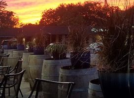 The Blue Dog Wine and Martini Bar