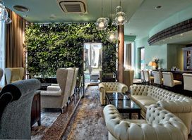 Cohiba Club Conti