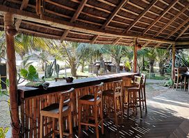 Blue Turtle Bay