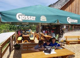 Zeiringeralm