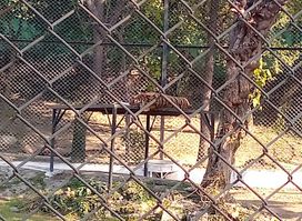 Gate 4 Ayub National Park, National Park Road Rawalpindi