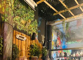 Jungle Joy Bar - Restaurant