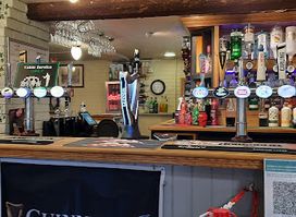 Stag & Pheasant