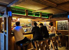 The viking pub