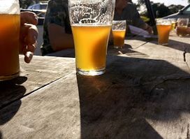 Malting Lagoon Brewing