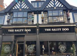 The Salty Dog