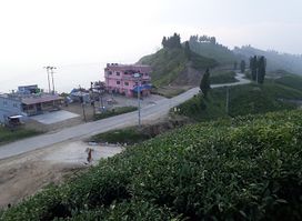 Kanchanjunga veiw fooding and lodging with hookah bar