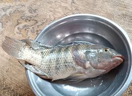مطعم تاسيلي