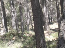 Peña de los Halcones