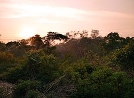 Zomba Massif