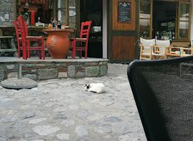 Ντίσκο Ρωμέικο