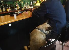 Bræddehytten Bar & Pub