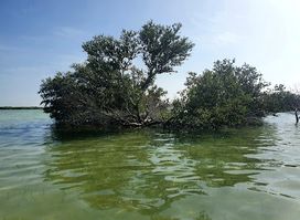 Al Thakhira Beach Park