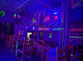 Disco bar El acuario