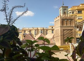 Le Géant Tlemcen