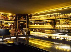 The Midnight Monkey