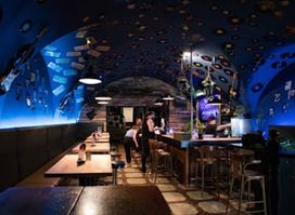 Vinyl Bar