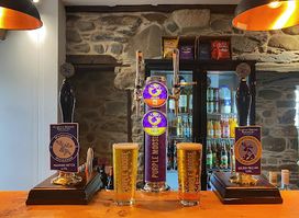 Hendre Hall Pub / Bar