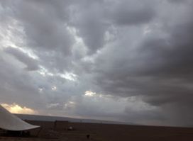 الجديد