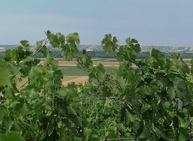 Weinbrunnen