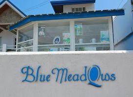 Shisha Spot by Blue Meadows