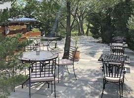 The Backyard