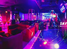 Sky Net Bar