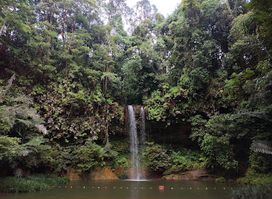Taman Negara Bukit Lambir