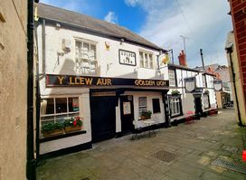 Golden Lion PH