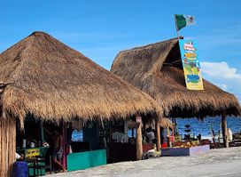 Mojito Factory Welcome to Miami Cozumel