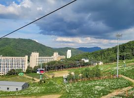 Phoenix Pyeongchang Orange-Building