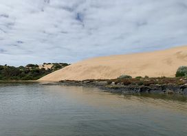 Coorong Wildside Tours
