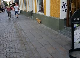 Ågatan Bar