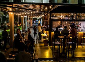 IVV Swinebar
