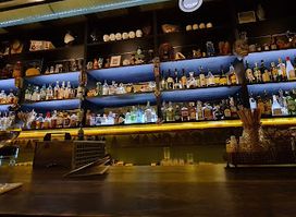 Sigmund Freud Bar