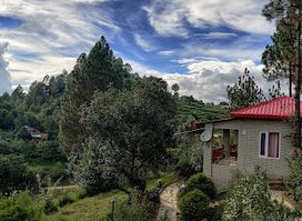 Himalayan Eco Lodges Majkhali Woods