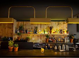 Bitter Cocktail Bar