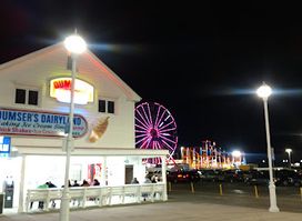 Purple Moose Saloon