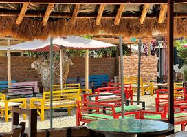 Tipsy cow bar