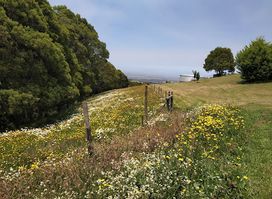 Promontory Restaurant and Winery