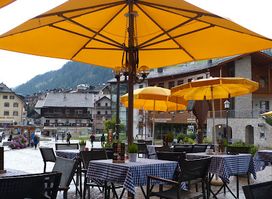 Bar Des Alpes